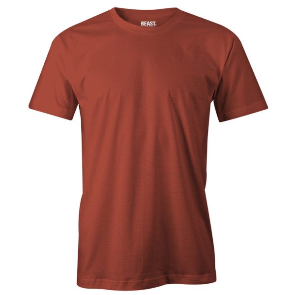 Brick Orange Crew Neck T-Shirt